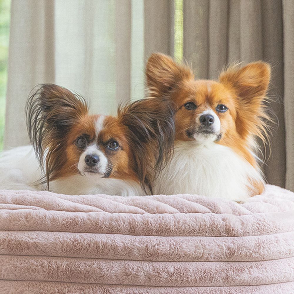 Designed by Lotte REZA - Hundebett eckig - rosa - Hundekissen Schlafplatz