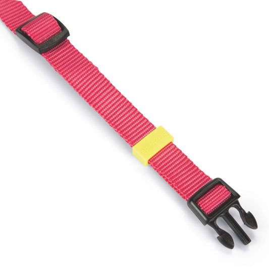 Beeztees Halsband - XS/S/M/L - pink - Nylon Hundehalsband Nylonhalsband