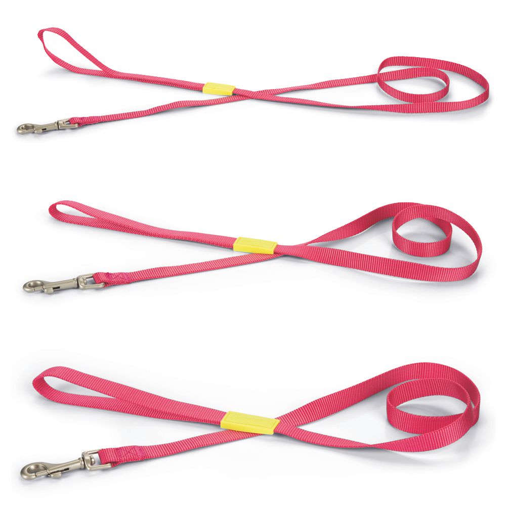 Beeztees Leine 120 cm - pink - XS/S/M - Nylon Hundeleine 1