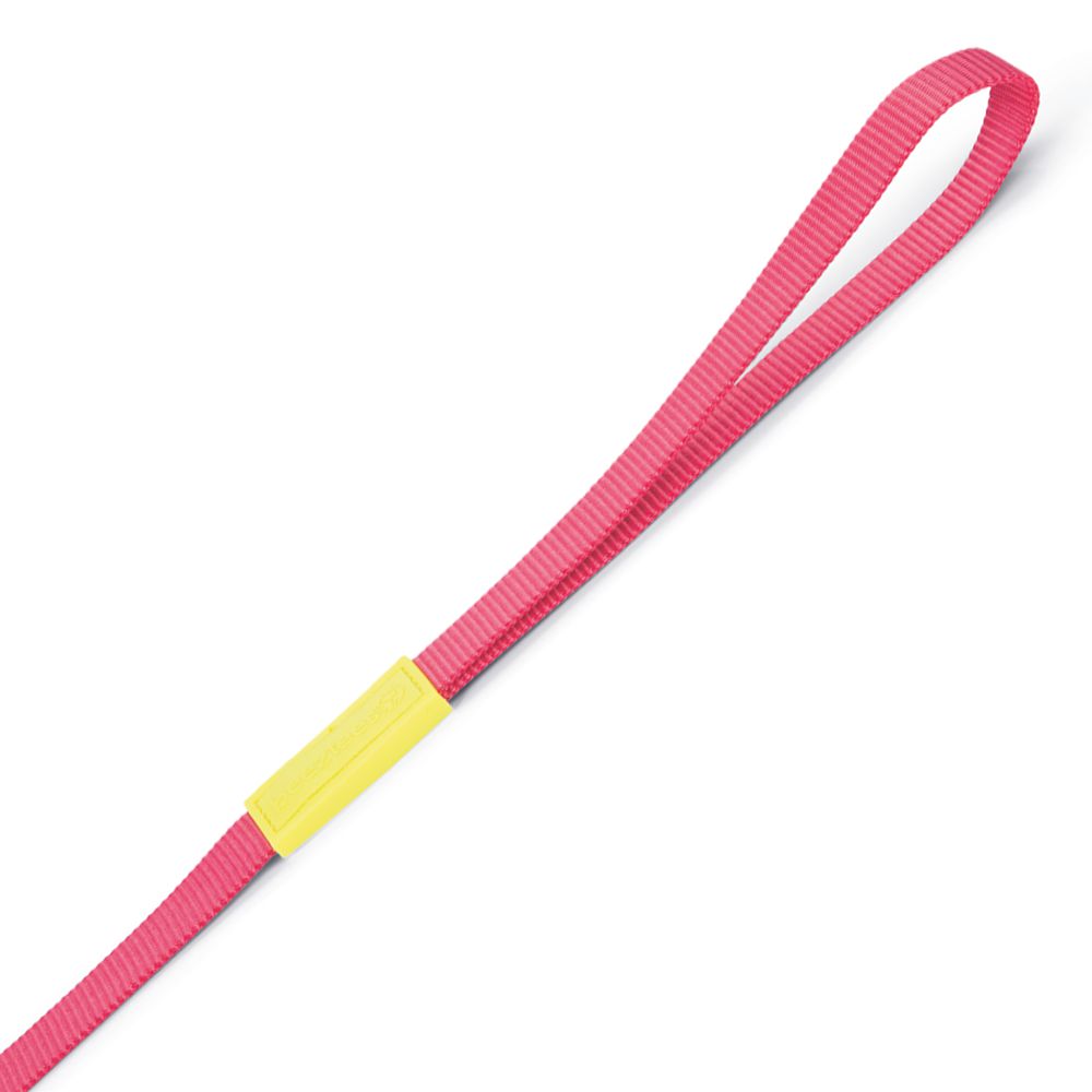Beeztees Leine 120 cm - pink - XS/S/M - Nylon Hundeleine 1,2 m Welpenleine