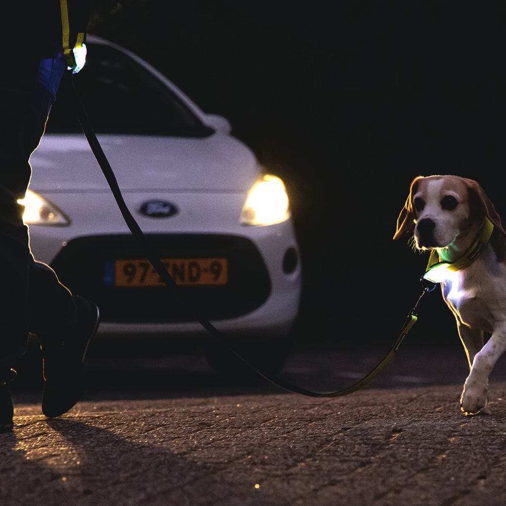 Beeztees Premium Sicherheitsleine PARINCA - Nylon gelb - LED Hundeleine