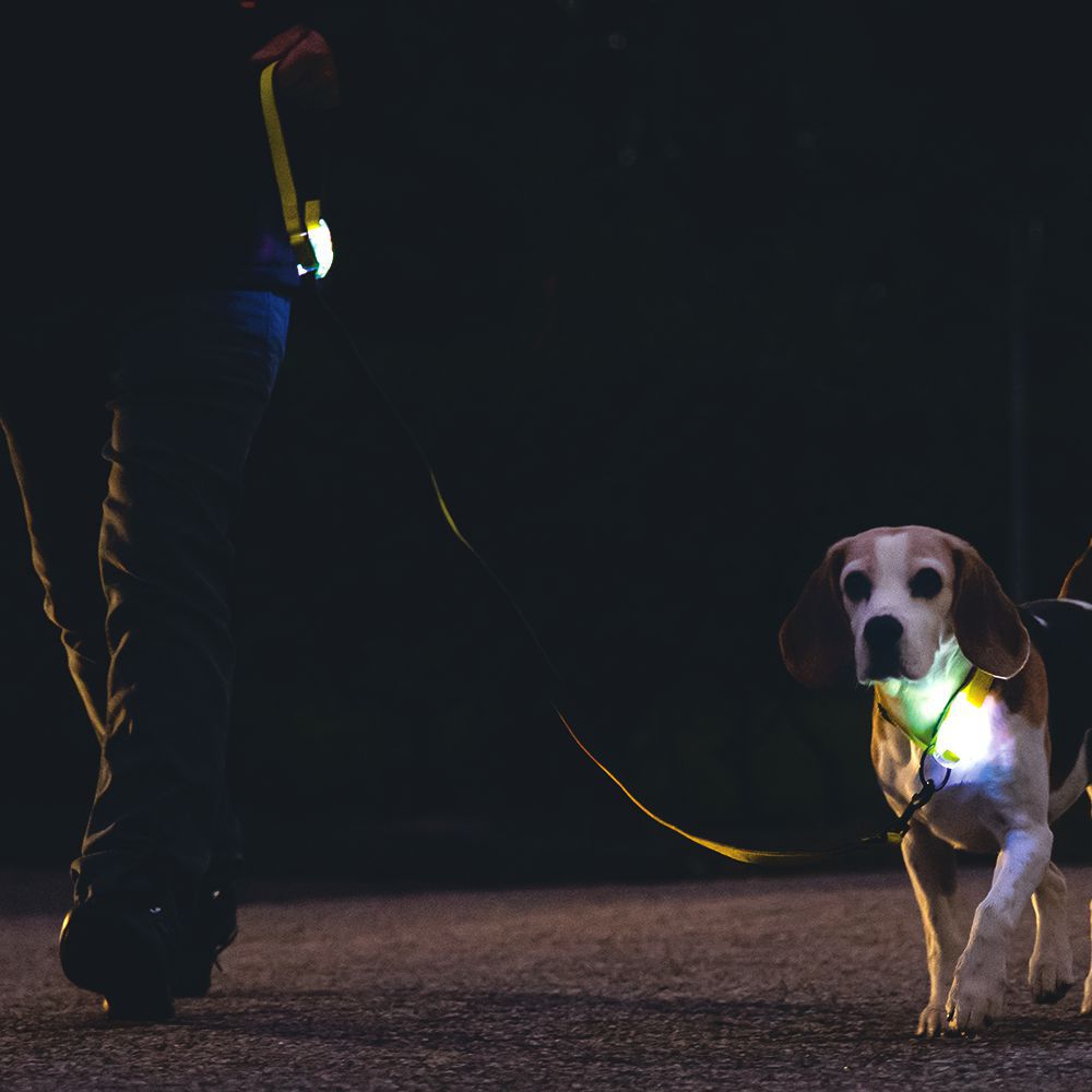 Beeztees Premium Sicherheitsleine PARINCA - Nylon gelb - LED Hundeleine