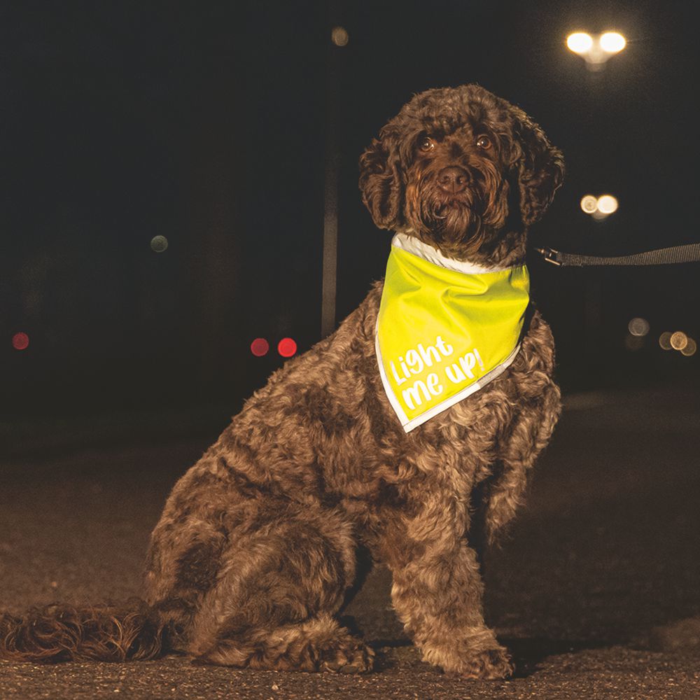 Beeztees Sicherheitshalstuch CHINY - Bandana neon gelb reflektierend - Halsband