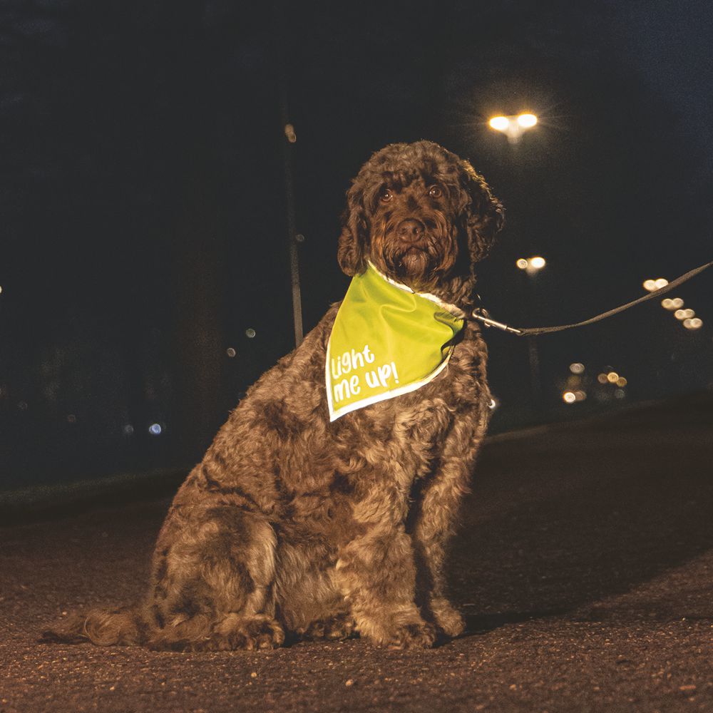 Beeztees Sicherheitshalstuch CHINY - Bandana neon gelb reflektierend - Halsband