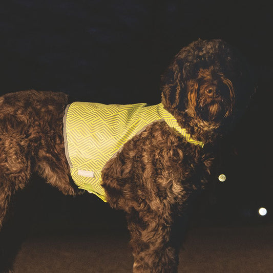 Beeztees Sicherheitsweste AVA - neon gelb reflektierend - Safety Weste Hund