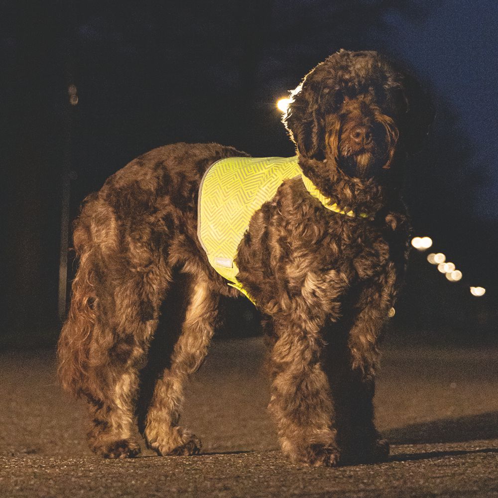 Beeztees Sicherheitsweste AVA - neon gelb reflektierend - Safety Weste Hund