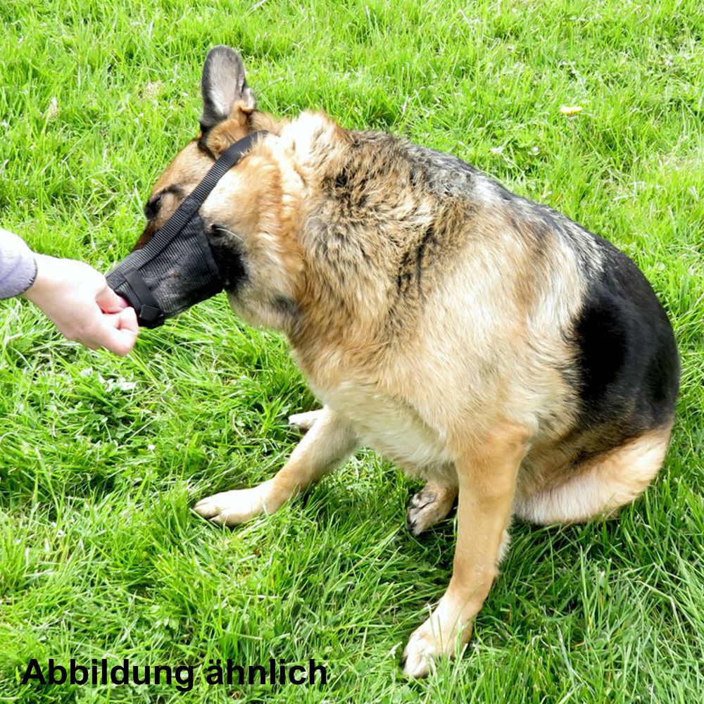 Beeztees Komfort-Maulkorb verstellbar - Größe S/M/L/XL/XXL - Nylon Hundemaulkorb