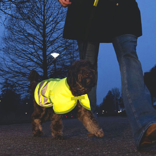 Beeztees Hundemantel TEDDIE - neon gelb reflektierend - Safety Sicherheitsmantel