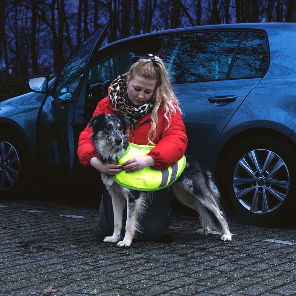 Beeztees Hundemantel TEDDIE - neon gelb reflektierend - Safety Sicherheitsmantel