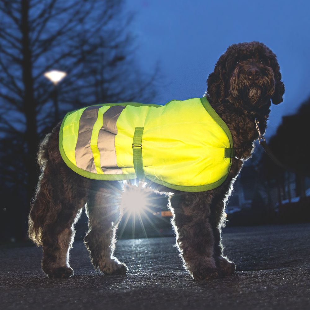 Beeztees Hundemantel TEDDIE - neon gelb reflektierend - Safety Sicherheitsmantel