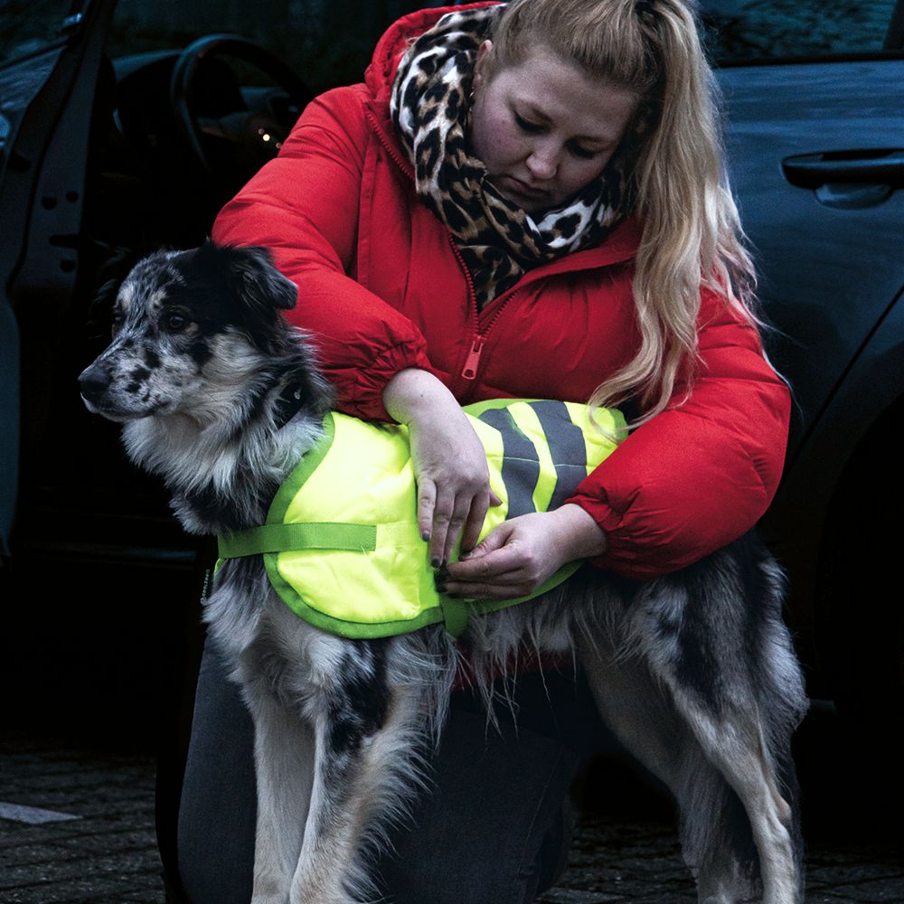 Beeztees Hundemantel TEDDIE - neon gelb reflektierend - Safety Sicherheitsmantel