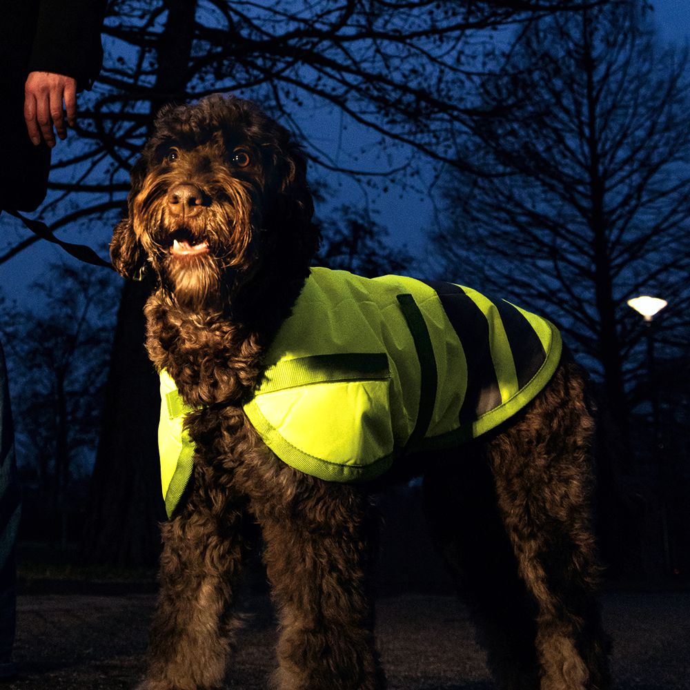 Beeztees Hundemantel TEDDIE - neon gelb reflektierend - Safety Sicherheitsmantel