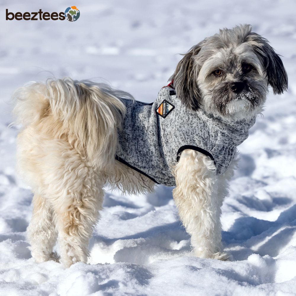 Beeztees Hundepullover CELIA - hellgrau - reflektierend - Sweater Hundemantel