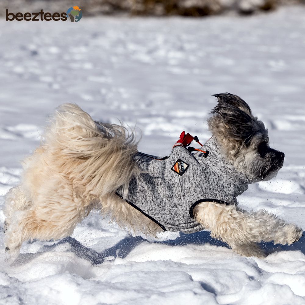 Beeztees Hundepullover CELIA - hellgrau - reflektierend - Sweater Hundemantel