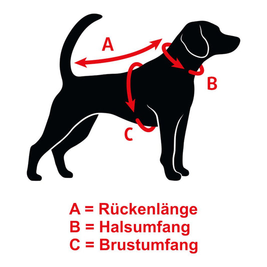 Beeztees Hundemantel MALY - hellgrau/grün - Hundejacke Hundepullover Regenmantel