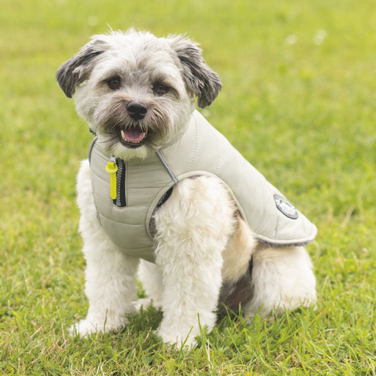 Beeztees Hundemantel BOBBY - taupe - Hundejacke Hundepullover Regenmantel