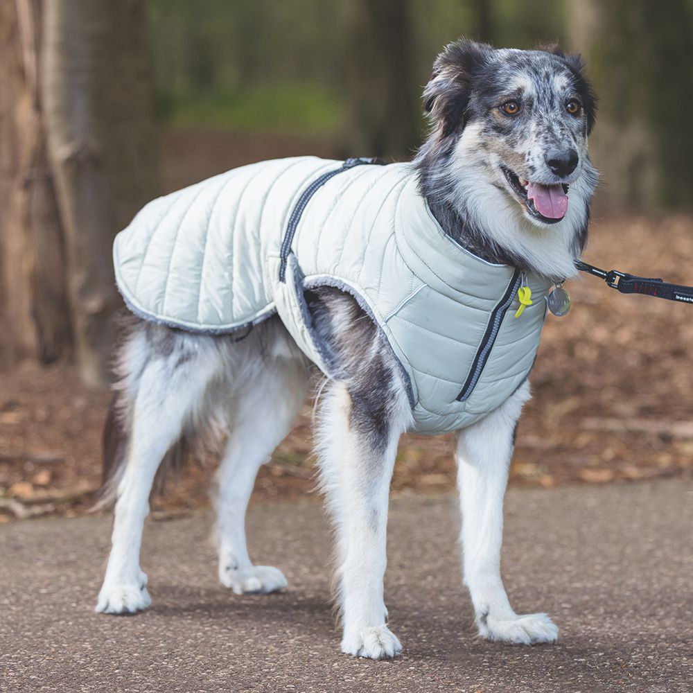 Beeztees Hundemantel BOBBY - taupe - Hundejacke Hundepullover Regenmantel