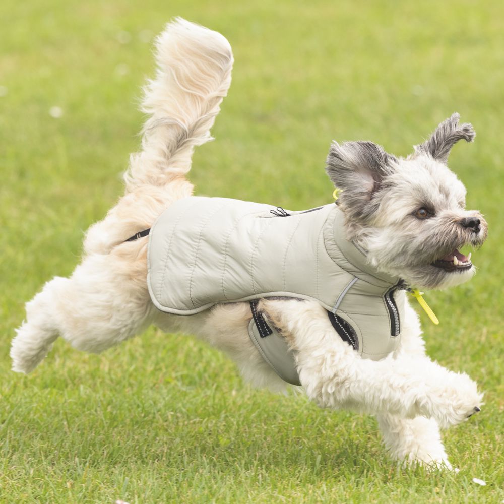 Beeztees Hundemantel BOBBY - taupe - Hundejacke Hundepullover Regenmantel