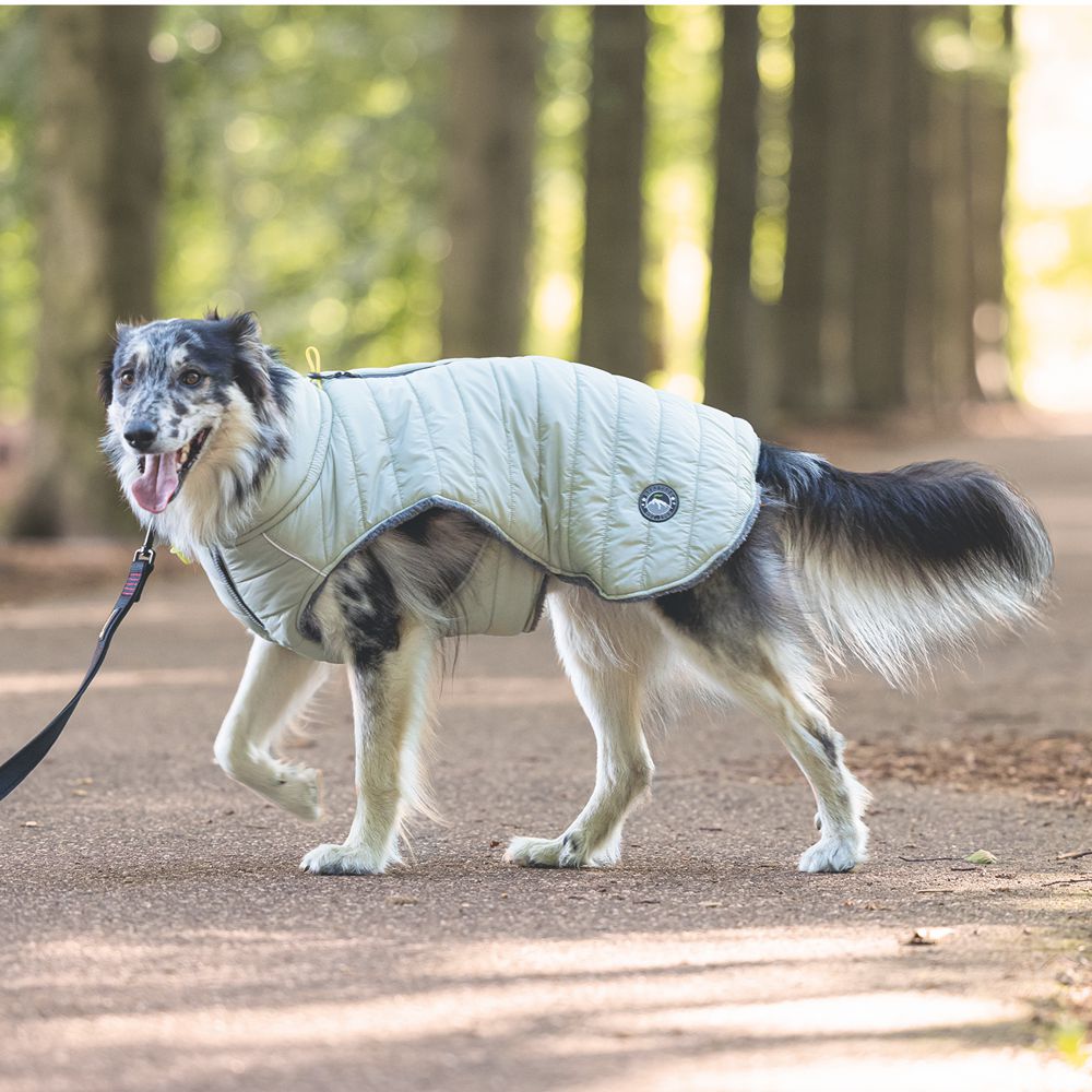 Beeztees Hundemantel BOBBY - taupe - Hundejacke Hundepullover Regenmantel