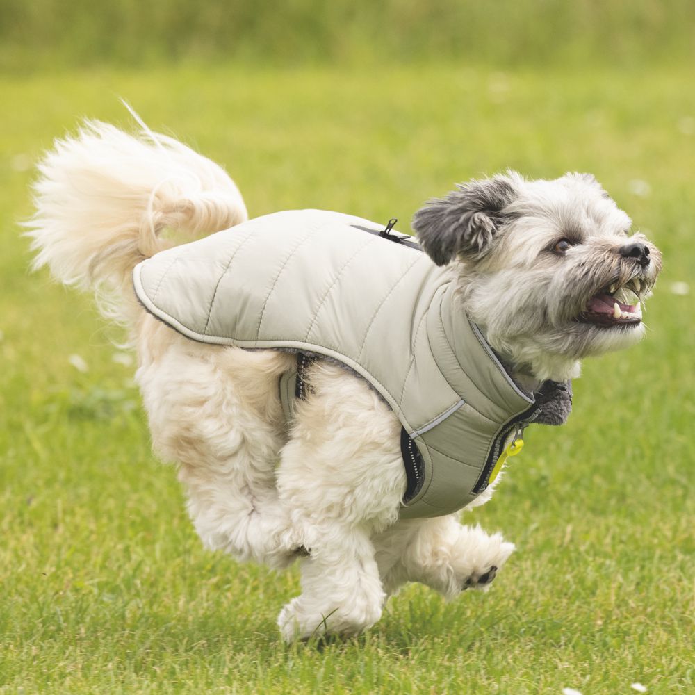 Beeztees Hundemantel BOBBY - taupe - Hundejacke Hundepullover Regenmantel