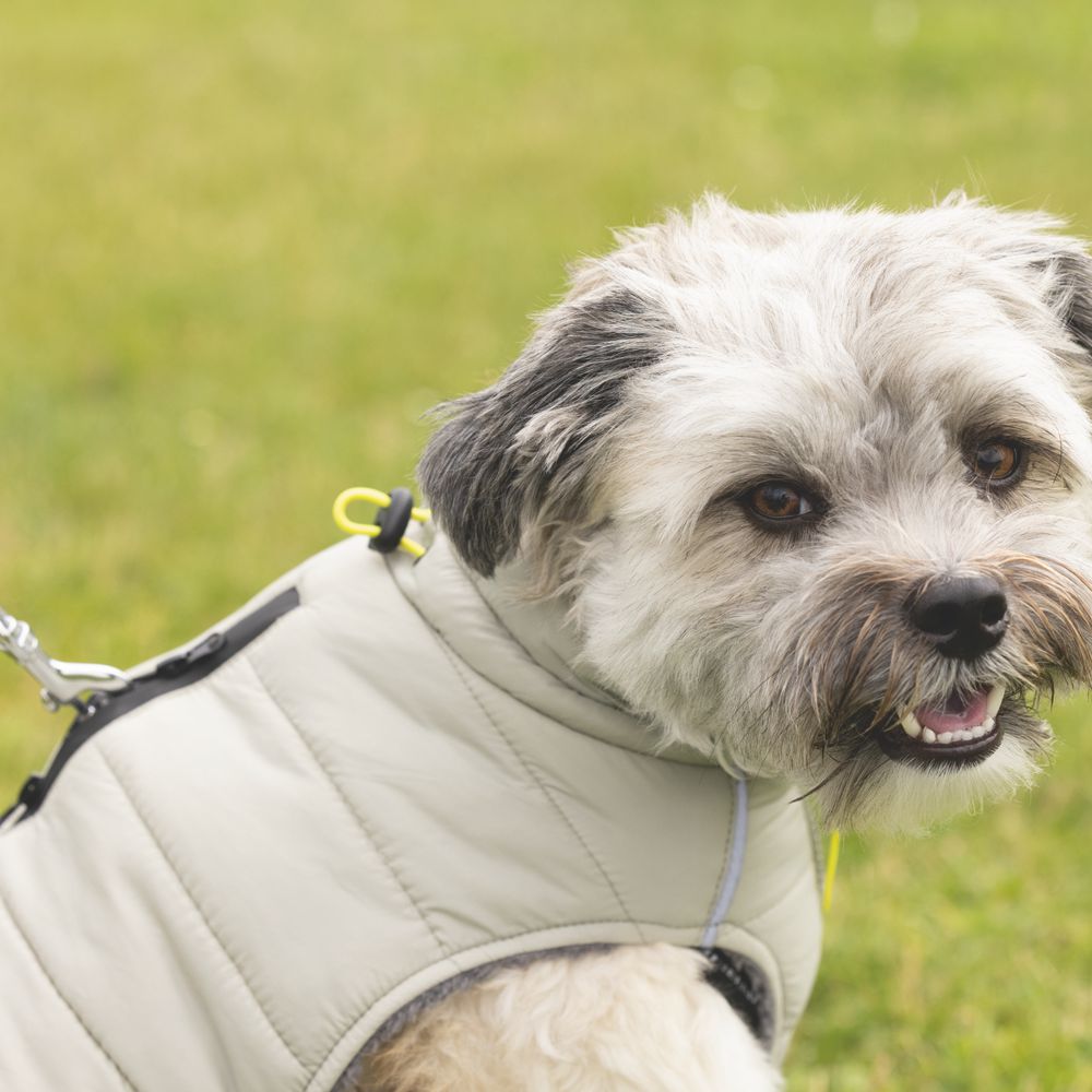 Beeztees Hundemantel BOBBY - taupe - Hundejacke Hundepullover Regenmantel