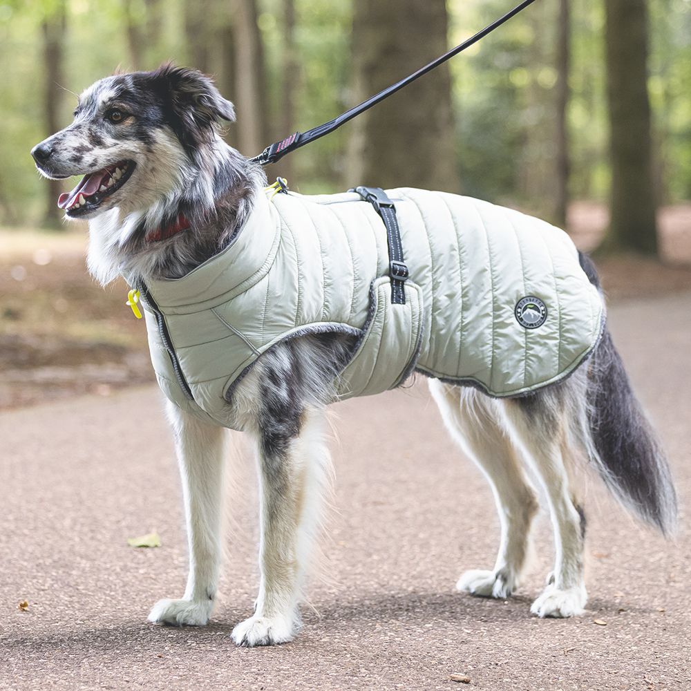 Beeztees Hundemantel BOBBY - taupe - Hundejacke Hundepullover Regenmantel
