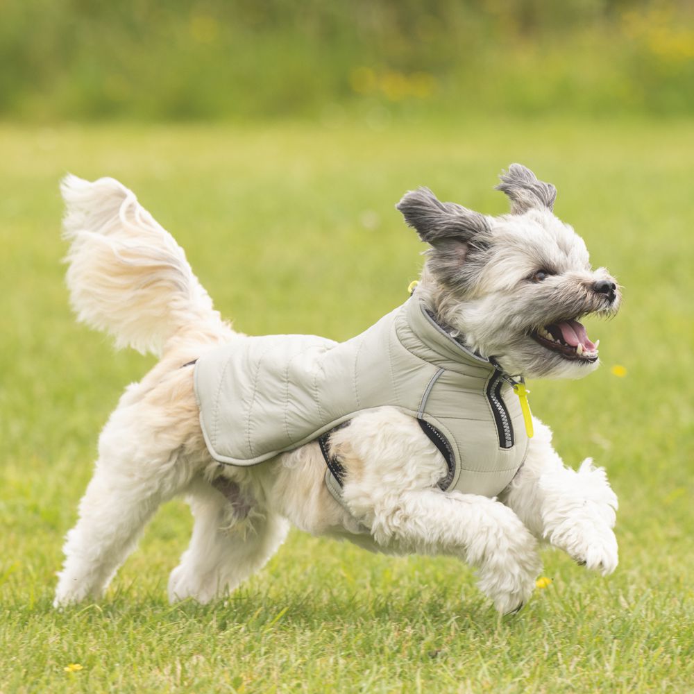 Beeztees Hundemantel BOBBY - taupe - Hundejacke Hundepullover Regenmantel