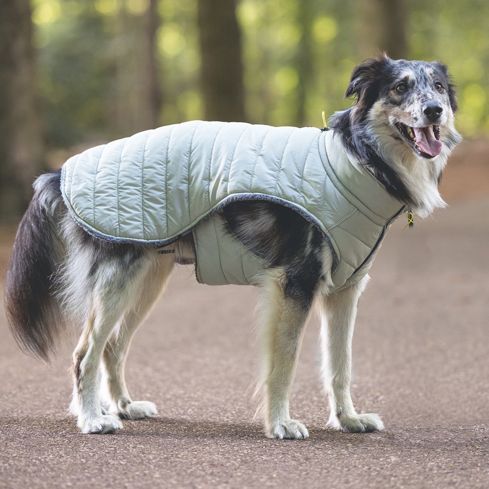 Beeztees Hundemantel BOBBY - taupe - Hundejacke Hundepullover Regenmantel