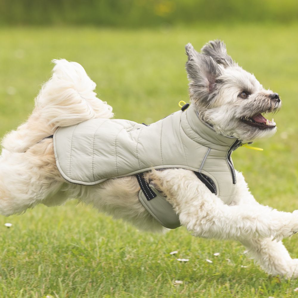 Beeztees Hundemantel BOBBY - taupe - Hundejacke Hundepullover Regenmantel