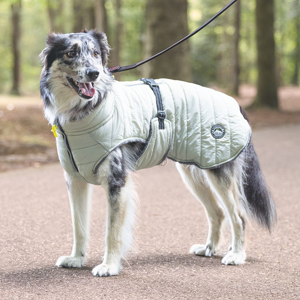 Beeztees Hundemantel BOBBY - taupe - Hundejacke Hundepullover Regenmantel