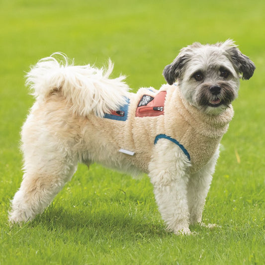 Beeztees Hundemantel TEDDY - beige - Hundejacke Hundepullover Regenmantel