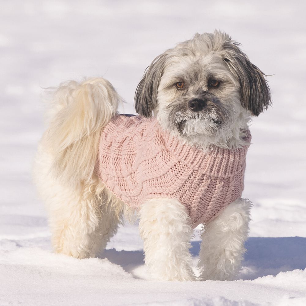 Designed by Lotte Hundepullover HAIDA - rosa Hundejacke Hundemantel Sweater