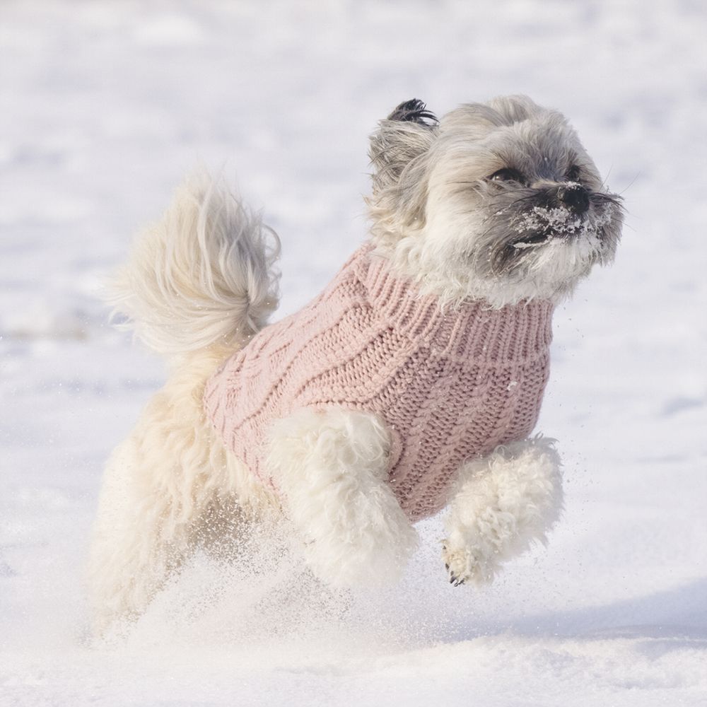 Designed by Lotte Hundepullover HAIDA - rosa Hundejacke Hundemantel Sweater