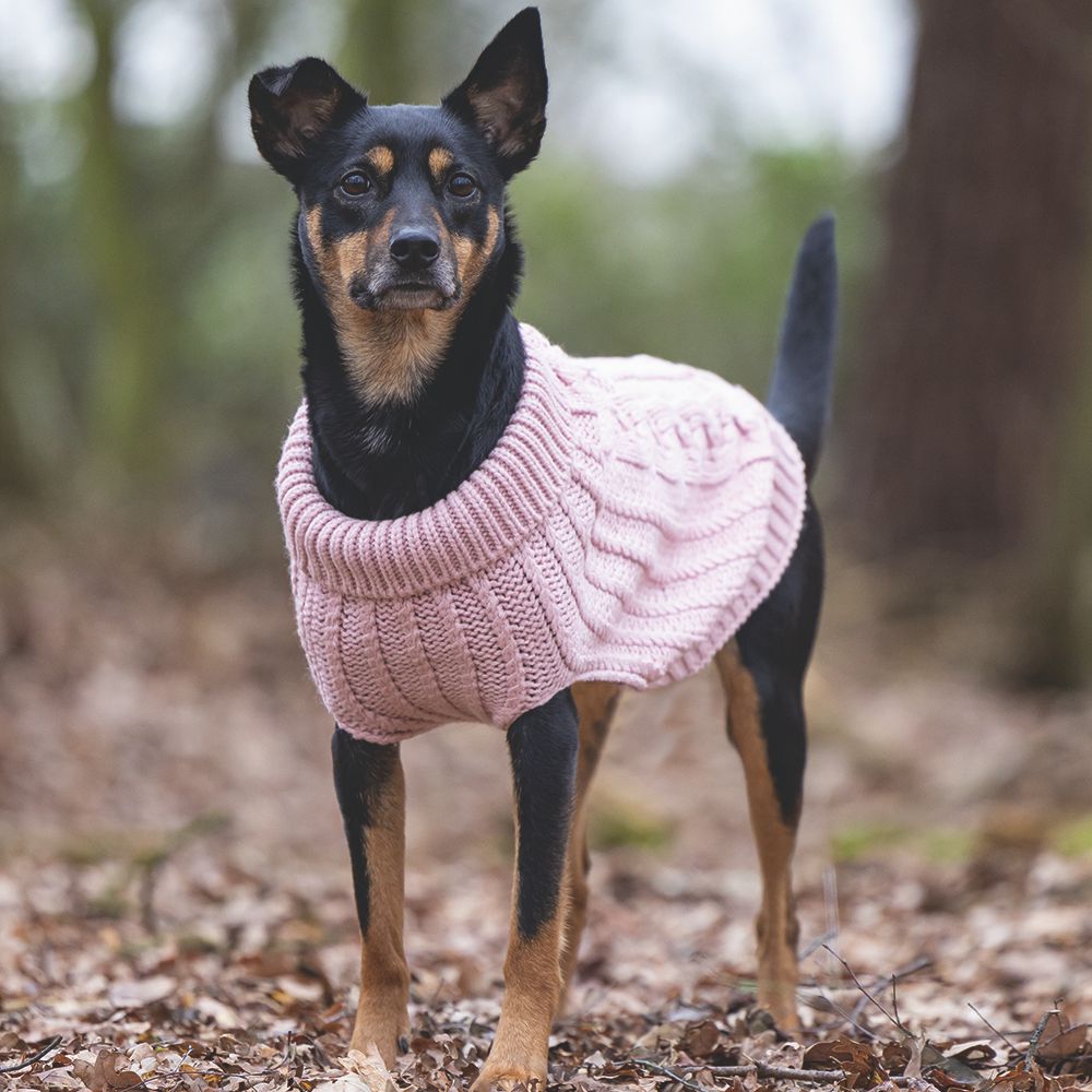 Designed by Lotte Hundepullover HAIDA - rosa Hundejacke Hundemantel Sweater