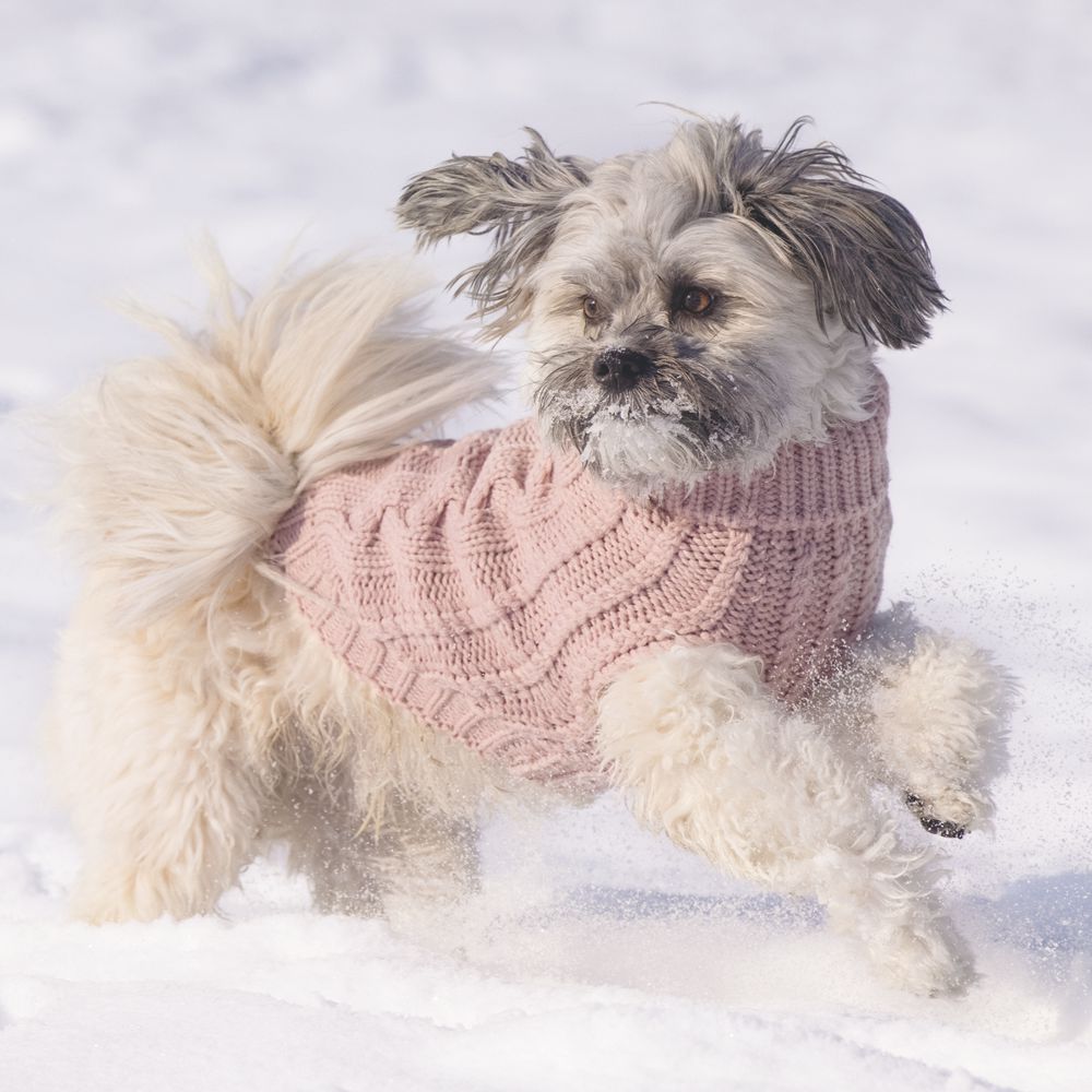 Designed by Lotte Hundepullover HAIDA - rosa Hundejacke Hundemantel Sweater