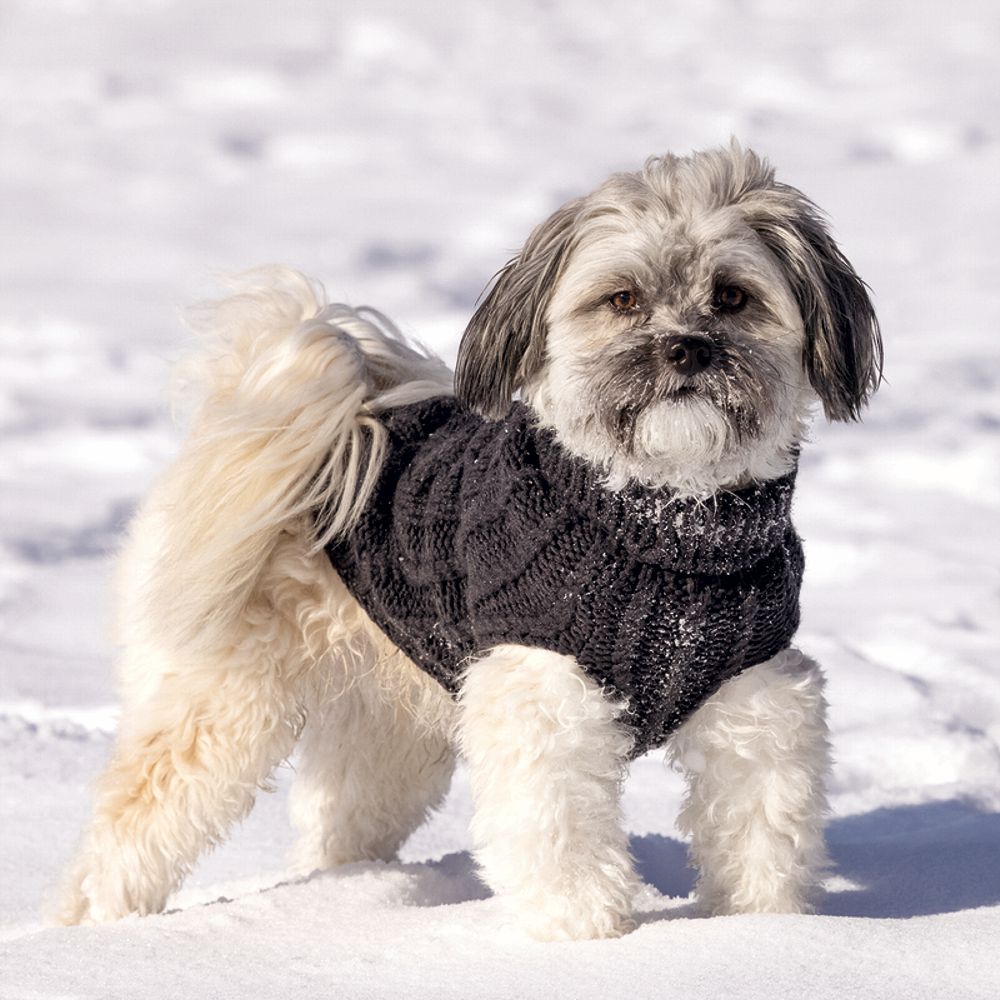 Designed by Lotte Hundepullover HAIDA - anthrazit Hundejacke Hundemantel Sweater
