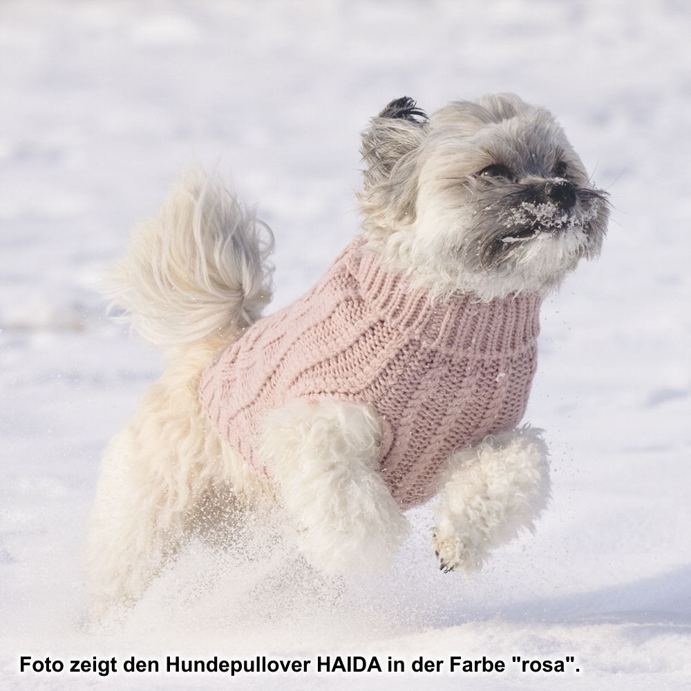 Designed by Lotte Hundepullover HAIDA - anthrazit Hundejacke Hundemantel Sweater