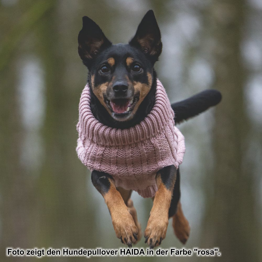 Designed by Lotte Hundepullover HAIDA - anthrazit Hundejacke Hundemantel Sweater