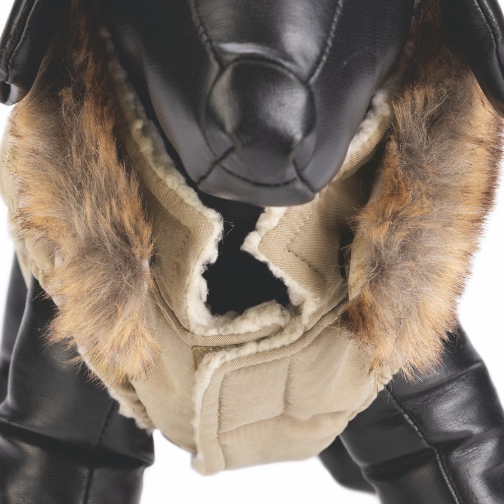 Designed by Lotte Hundemantel PHILOS beige Hundejacke Hundepullover Regenmantel