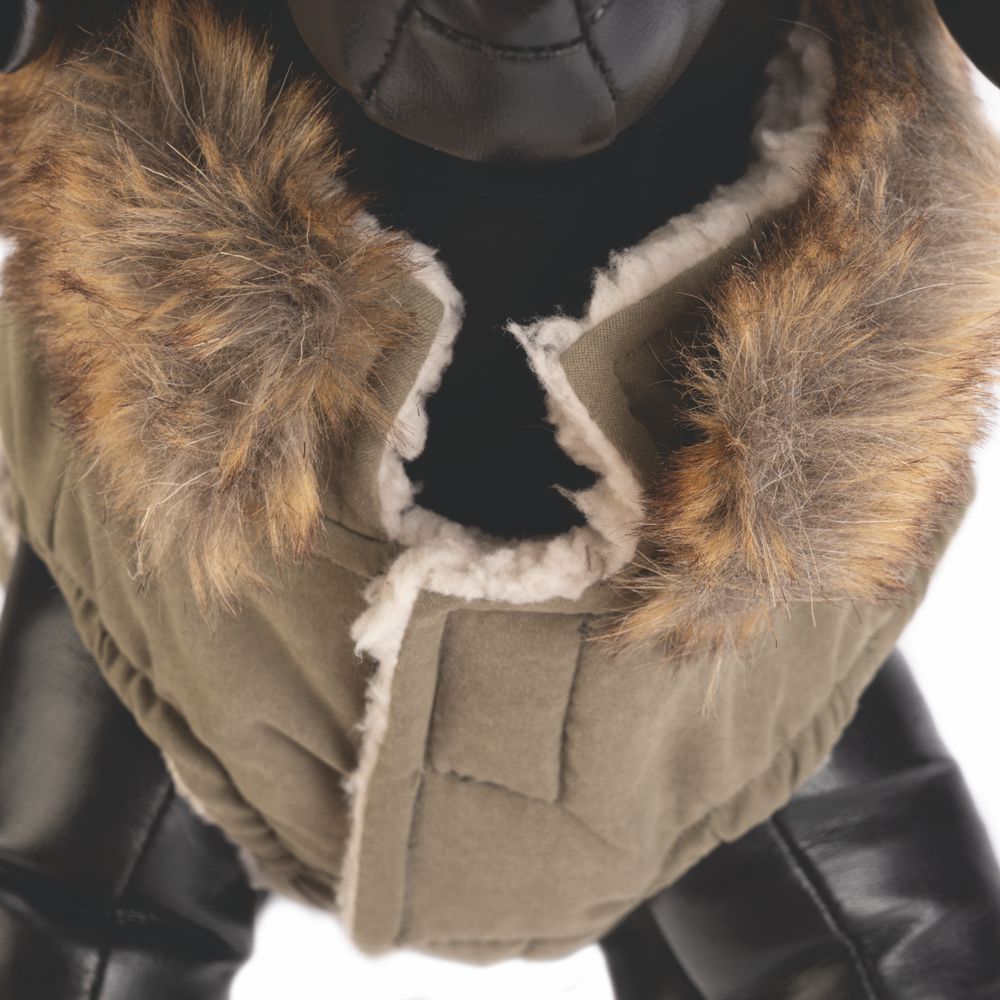 Designed by Lotte Hundemantel PHILOS grün Hundejacke Hundepullover Regenmantel