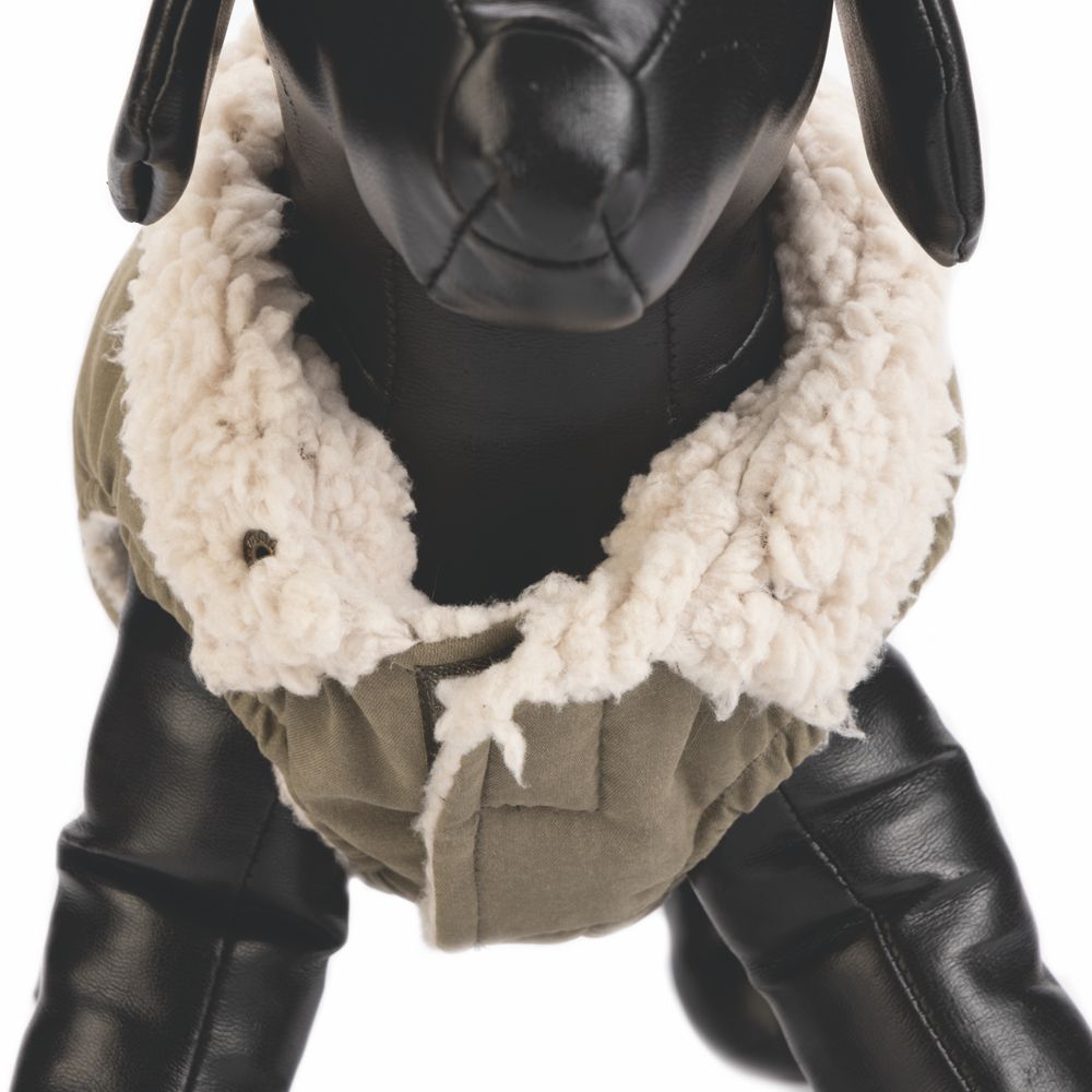 Designed by Lotte Hundemantel PHILOS grün Hundejacke Hundepullover Regenmantel