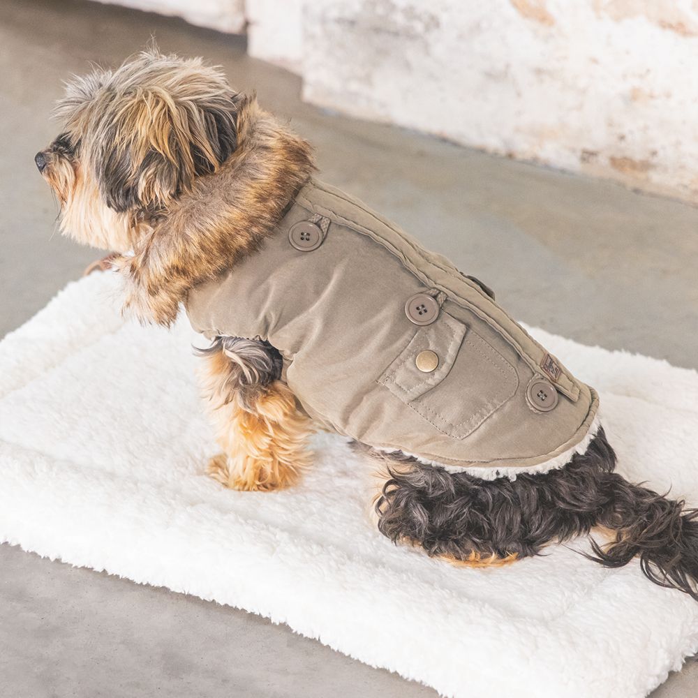 Designed by Lotte Hundemantel PHILOS grün Hundejacke Hundepullover Regenmantel