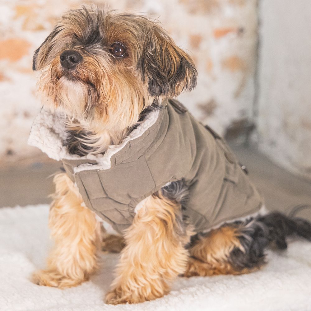 Designed by Lotte Hundemantel PHILOS grün Hundejacke Hundepullover Regenmantel