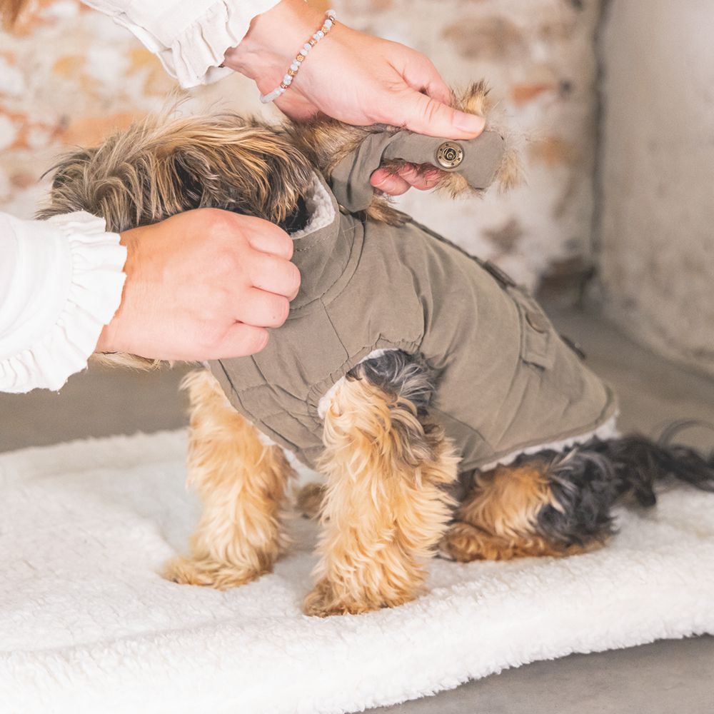 Designed by Lotte Hundemantel PHILOS grün Hundejacke Hundepullover Regenmantel