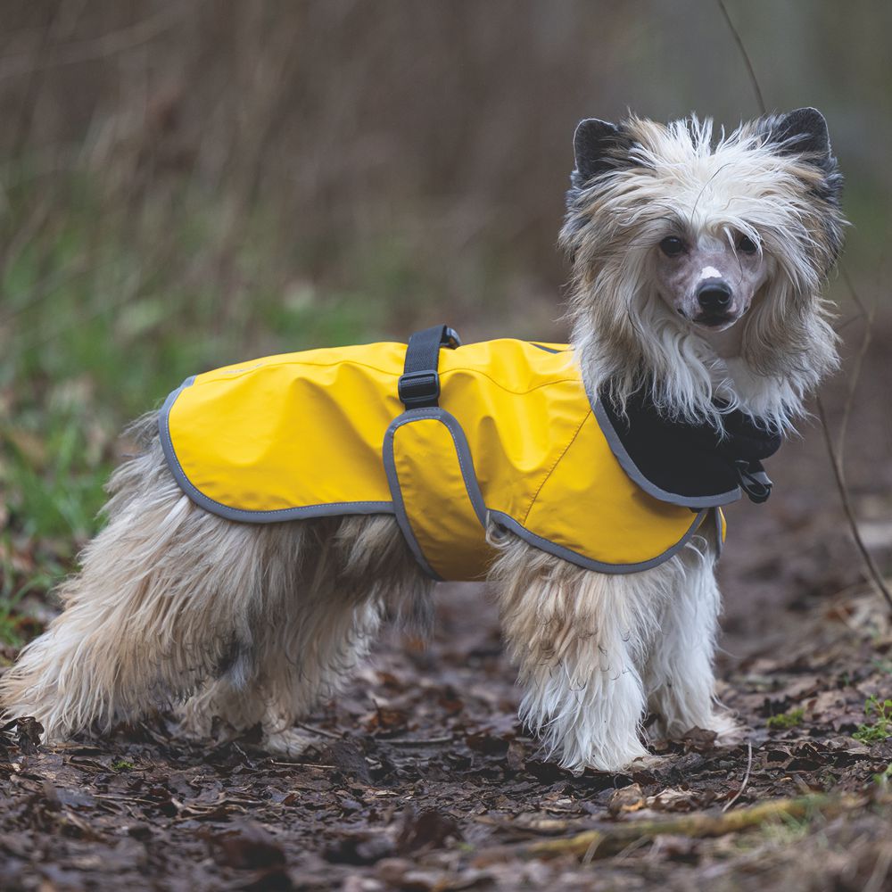 Beeztees Regenmantel CARO - gelb - Hundejacke Hundepullover Hundemantel