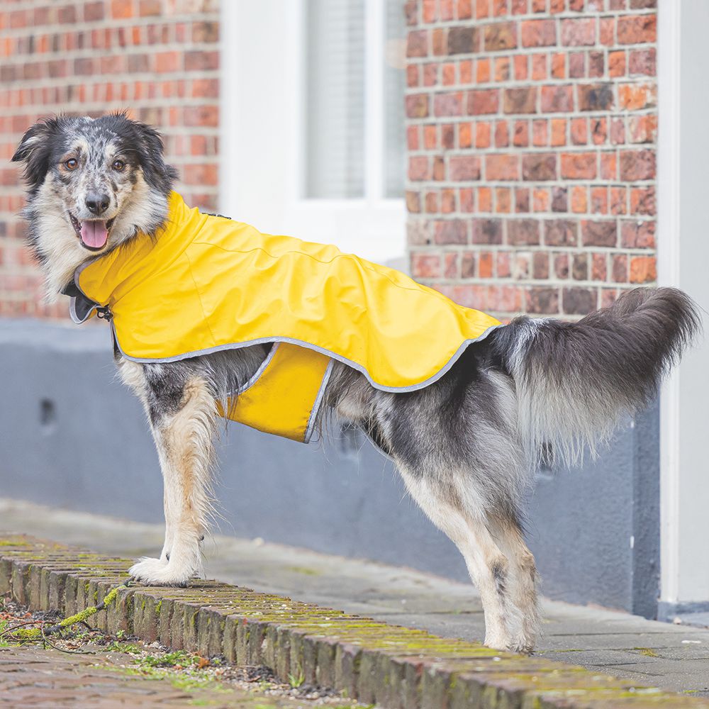 Beeztees Regenmantel CARO - gelb - Hundejacke Hundepullover Hundemantel