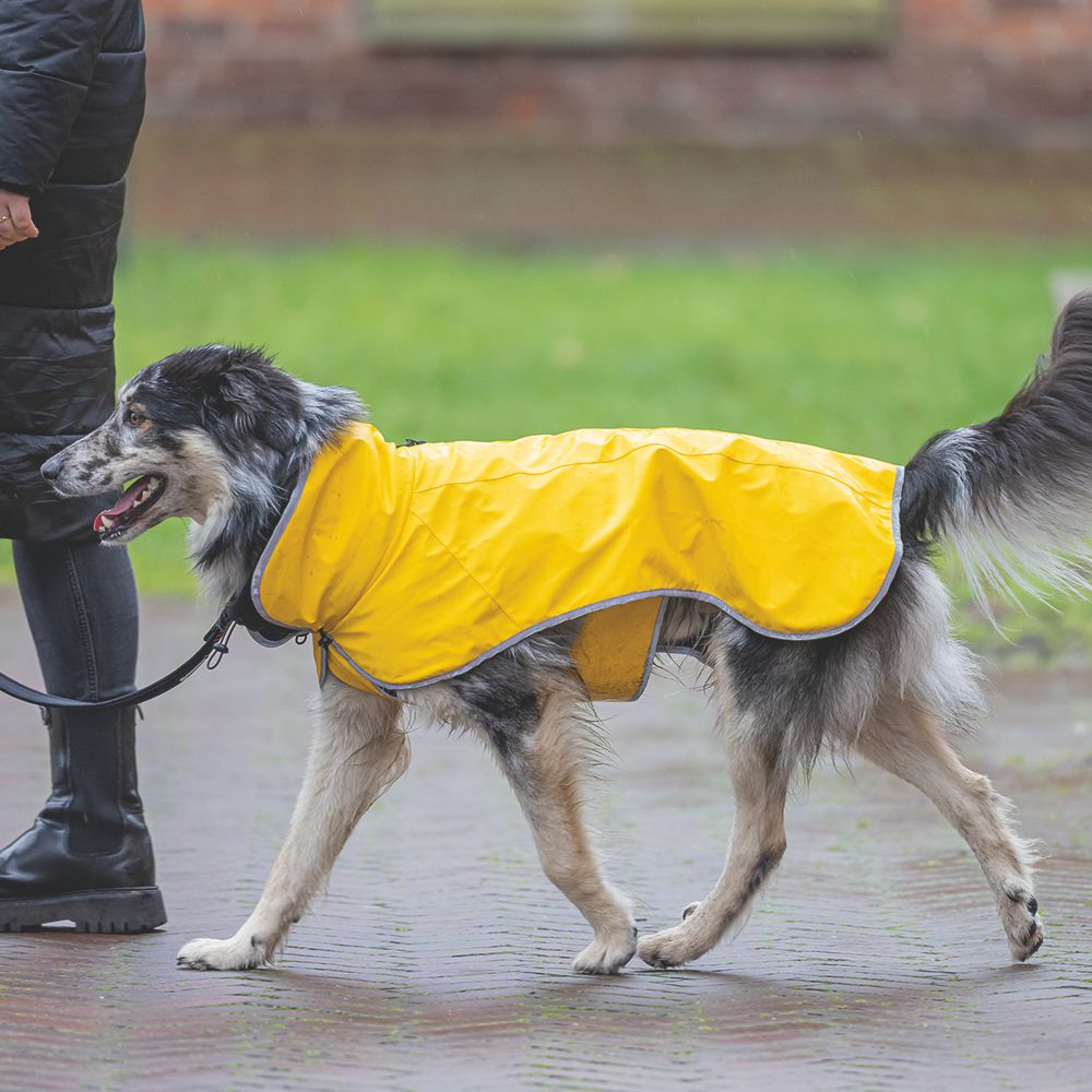 Beeztees Regenmantel CARO - gelb - Hundejacke Hundepullover Hundemantel