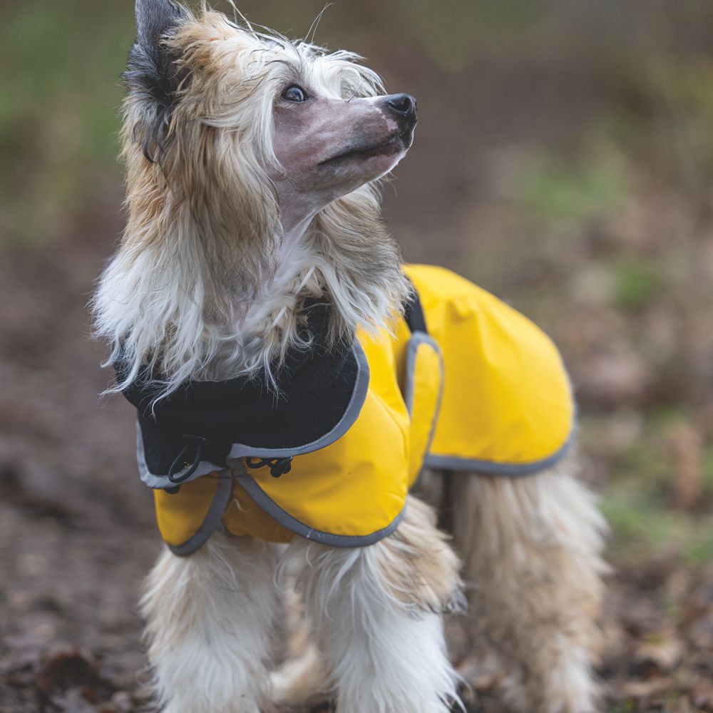 Beeztees Regenmantel CARO - gelb - Hundejacke Hundepullover Hundemantel