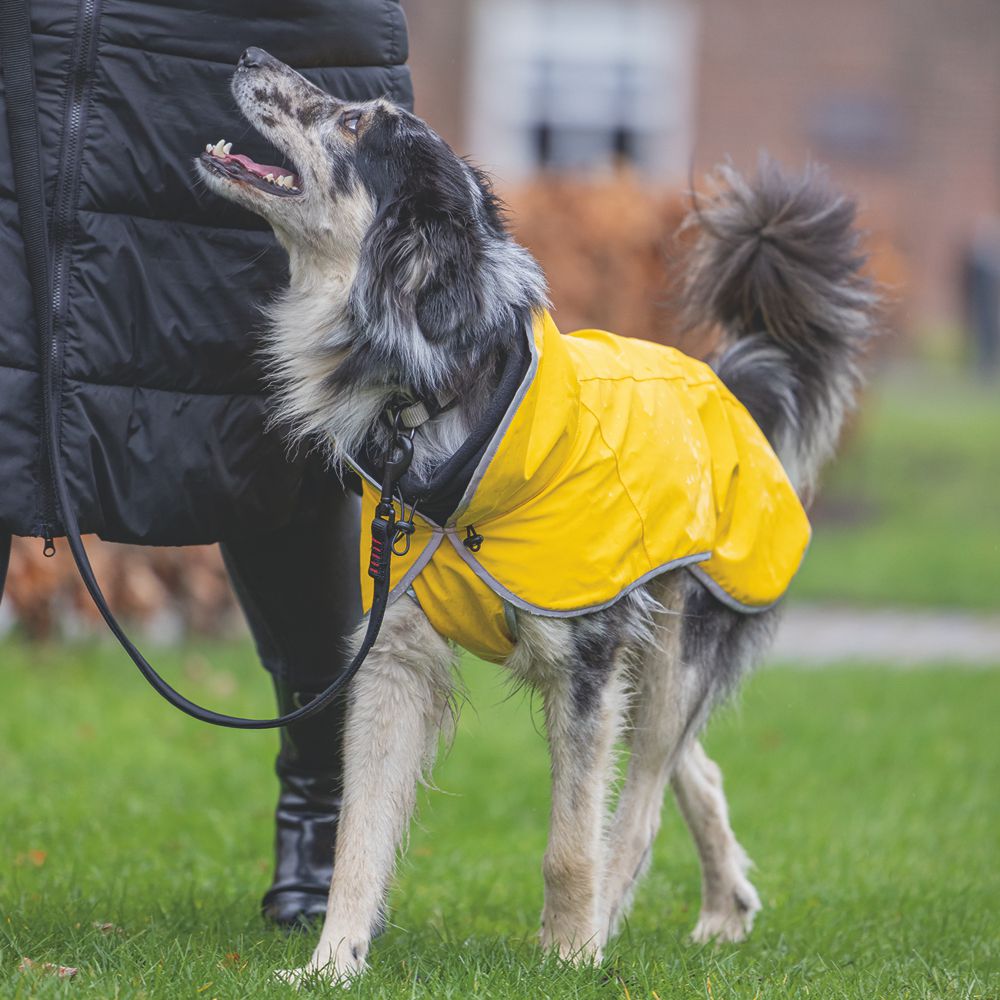 Beeztees Regenmantel CARO - gelb - Hundejacke Hundepullover Hundemantel