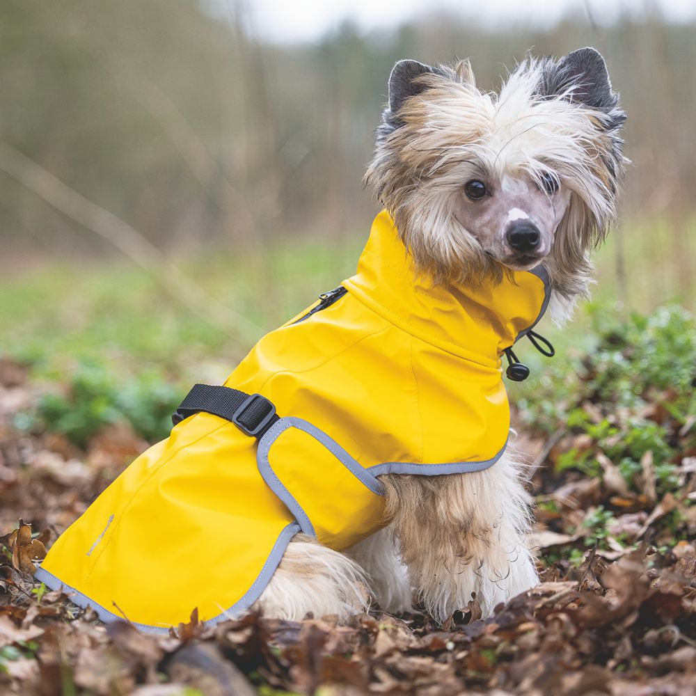 Beeztees Regenmantel CARO - gelb - Hundejacke Hundepullover Hundemantel